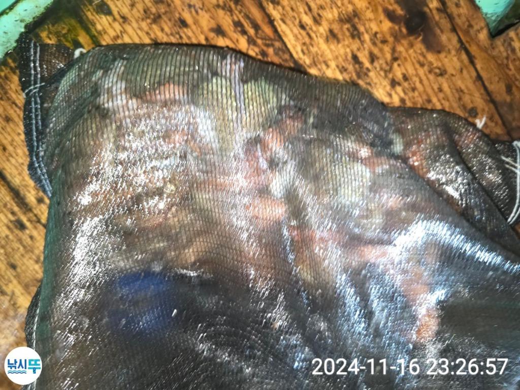 F2574804NZ.jpg