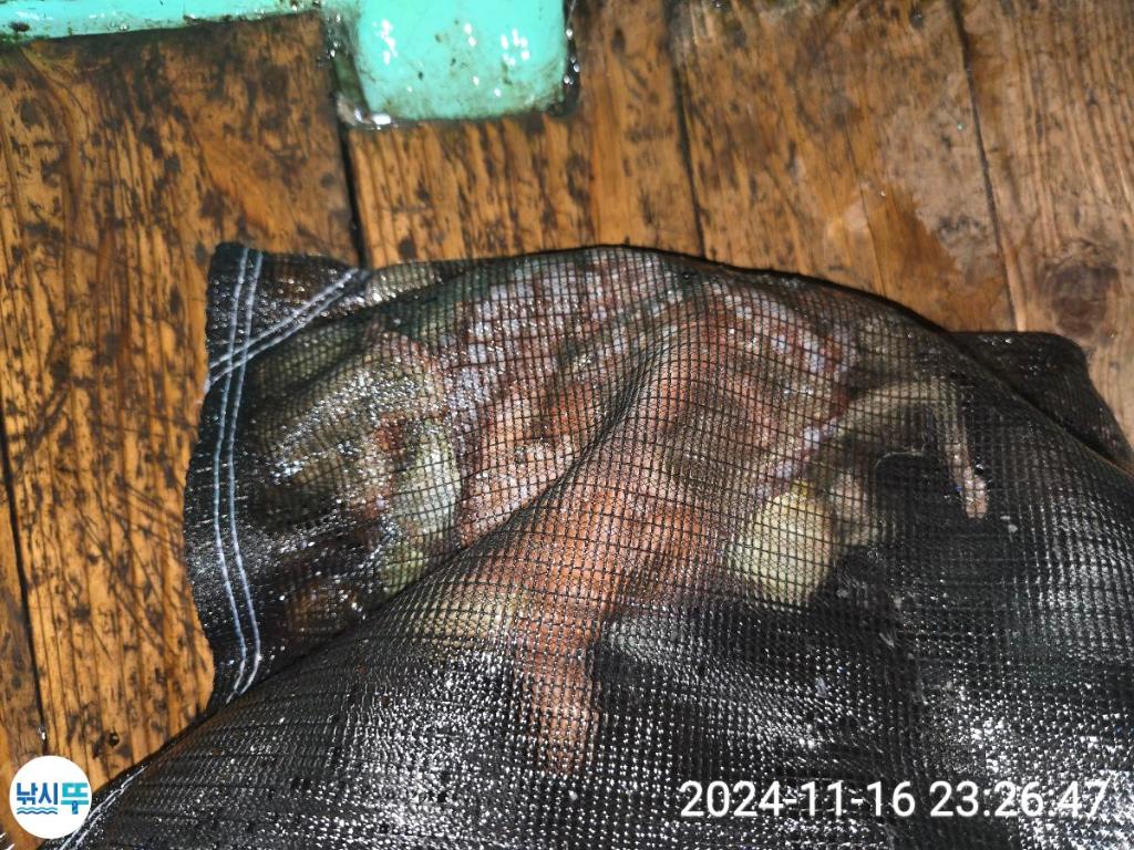 F25748058J.jpg