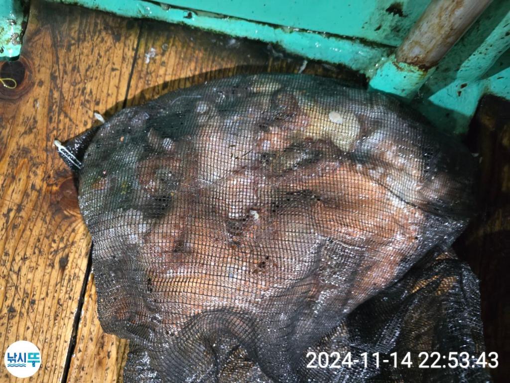 F2574834XL.jpg