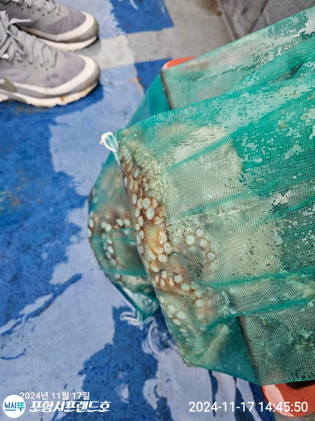 F2574868ZQ.jpg