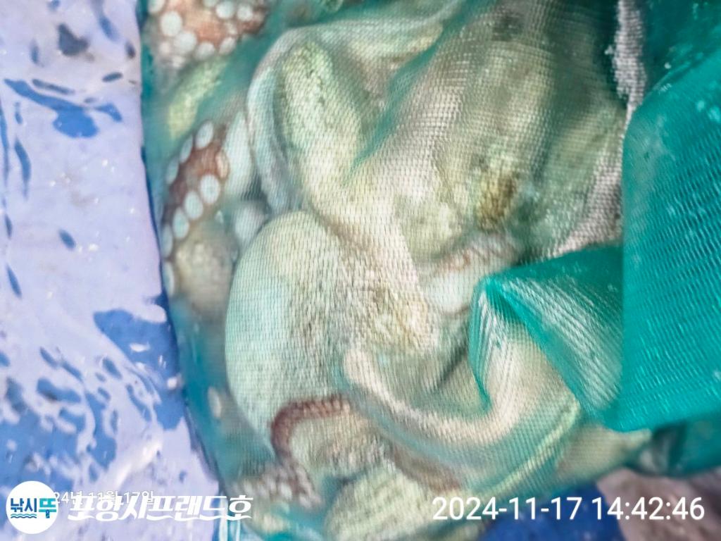 F25748709B.jpg