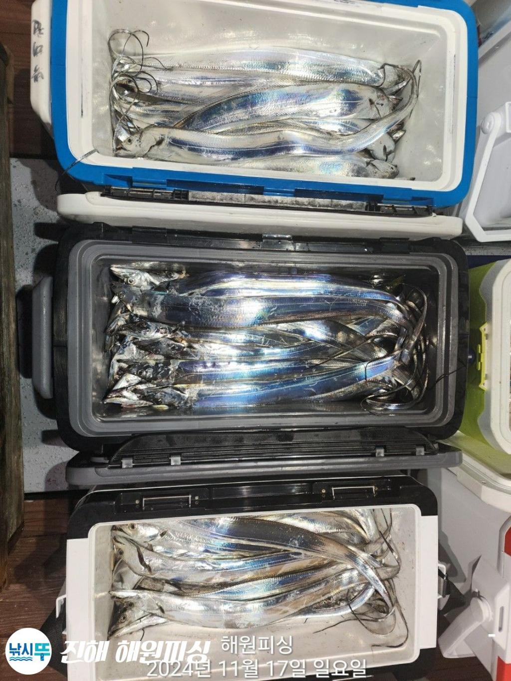 F2575001XF.jpg