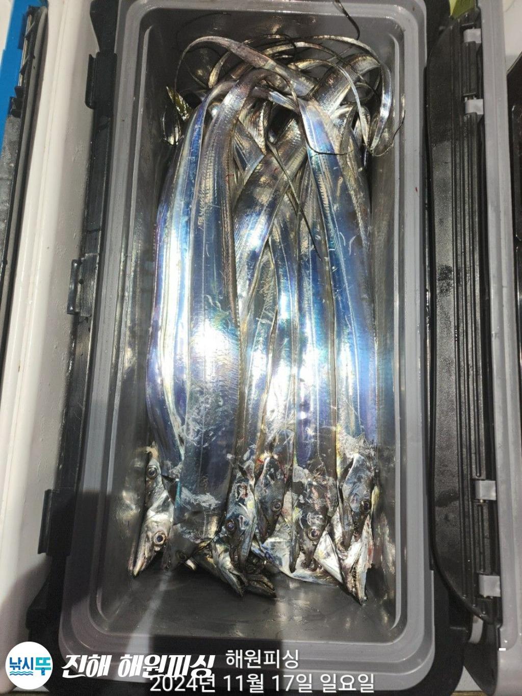 F25750047G.jpg