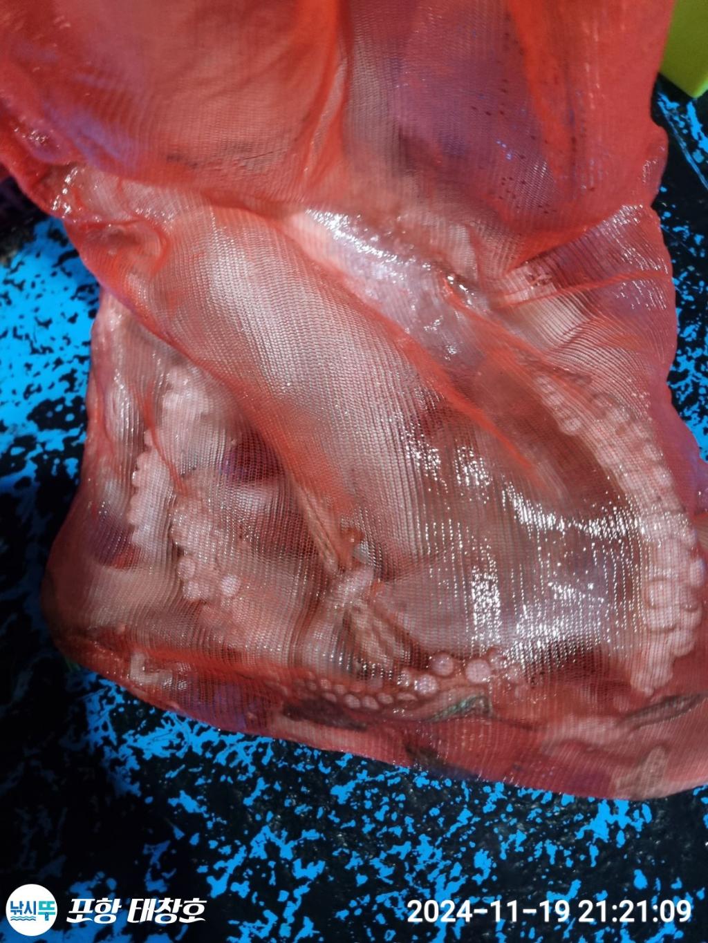 F2575385IP.jpg