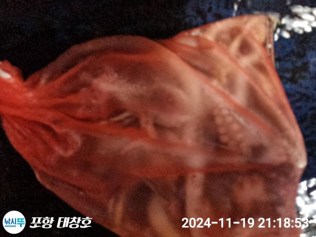 F2575388DL.jpg