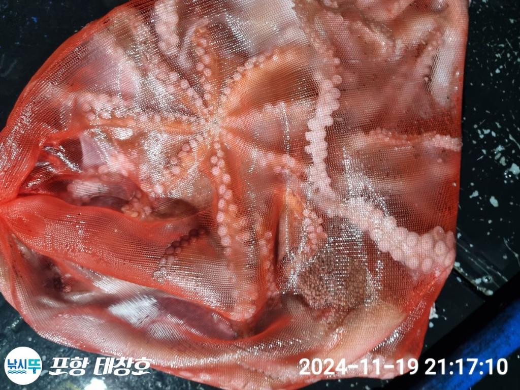F2575391GI.jpg