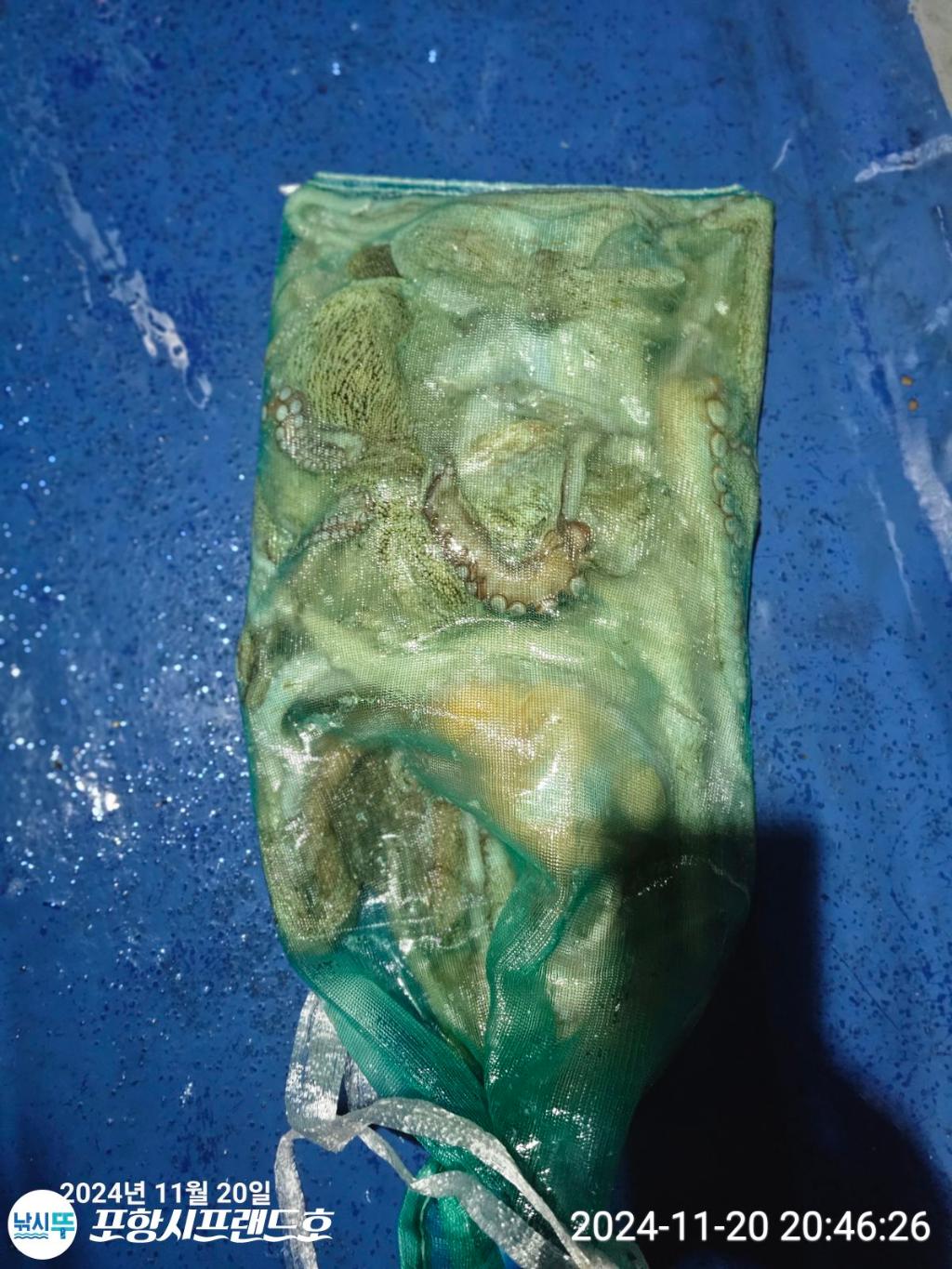 F25761549V.jpg