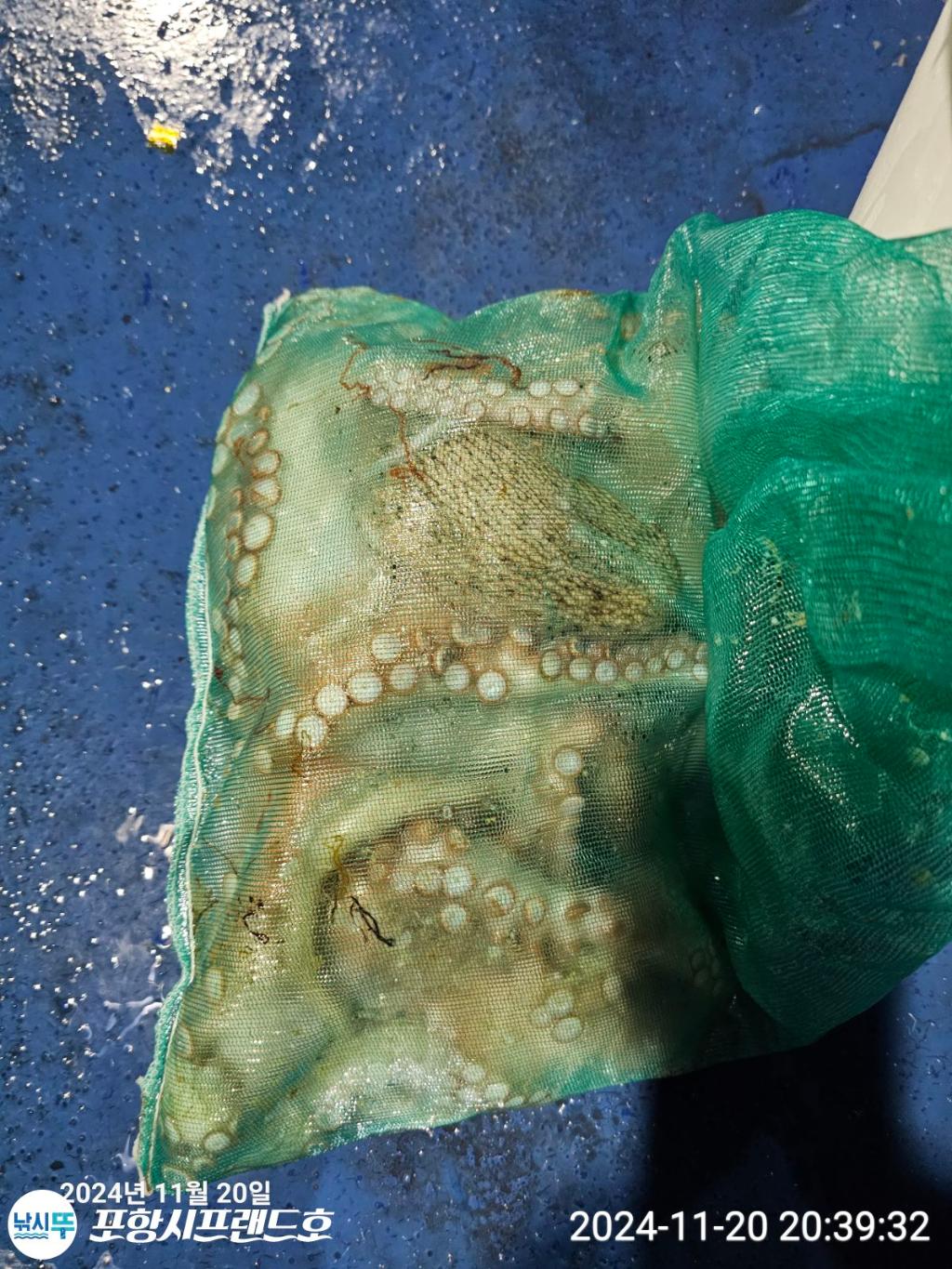 F2576156GL.jpg