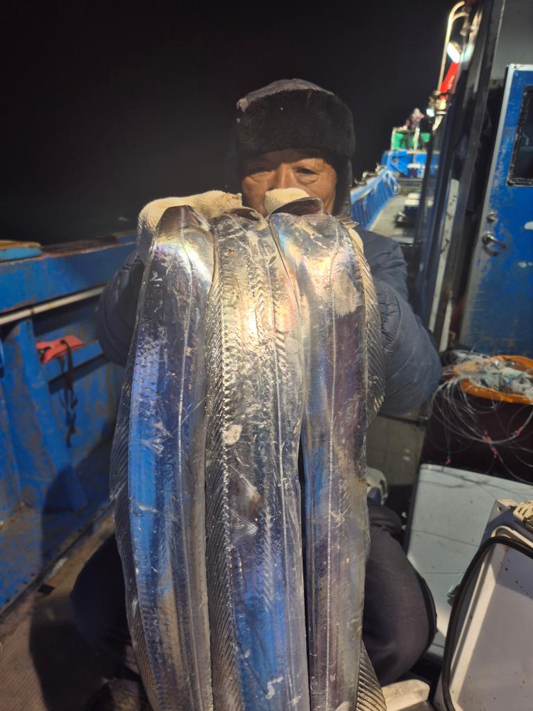 F2576493N4.jpg