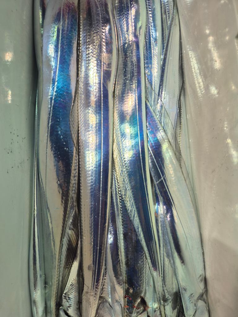 F2576500DR.jpg