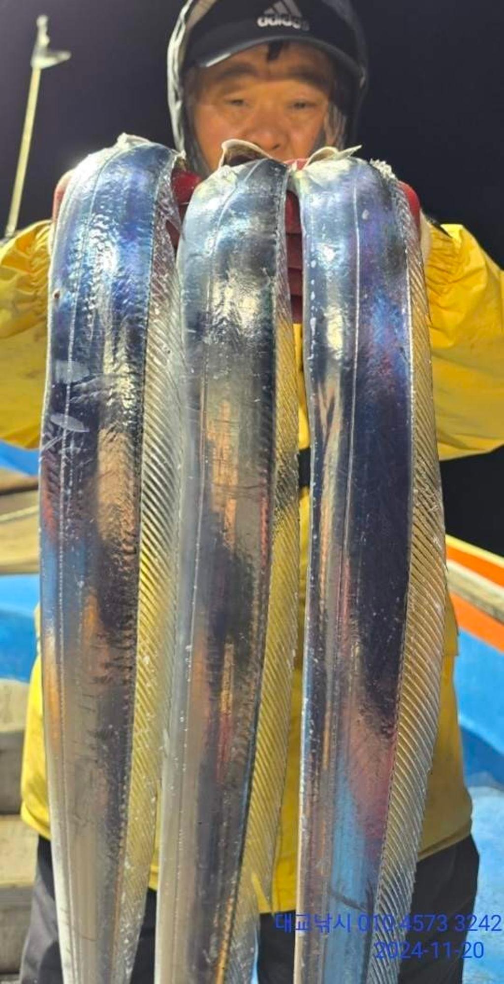 갈치, 삼포대교낚시, 낚시뚜