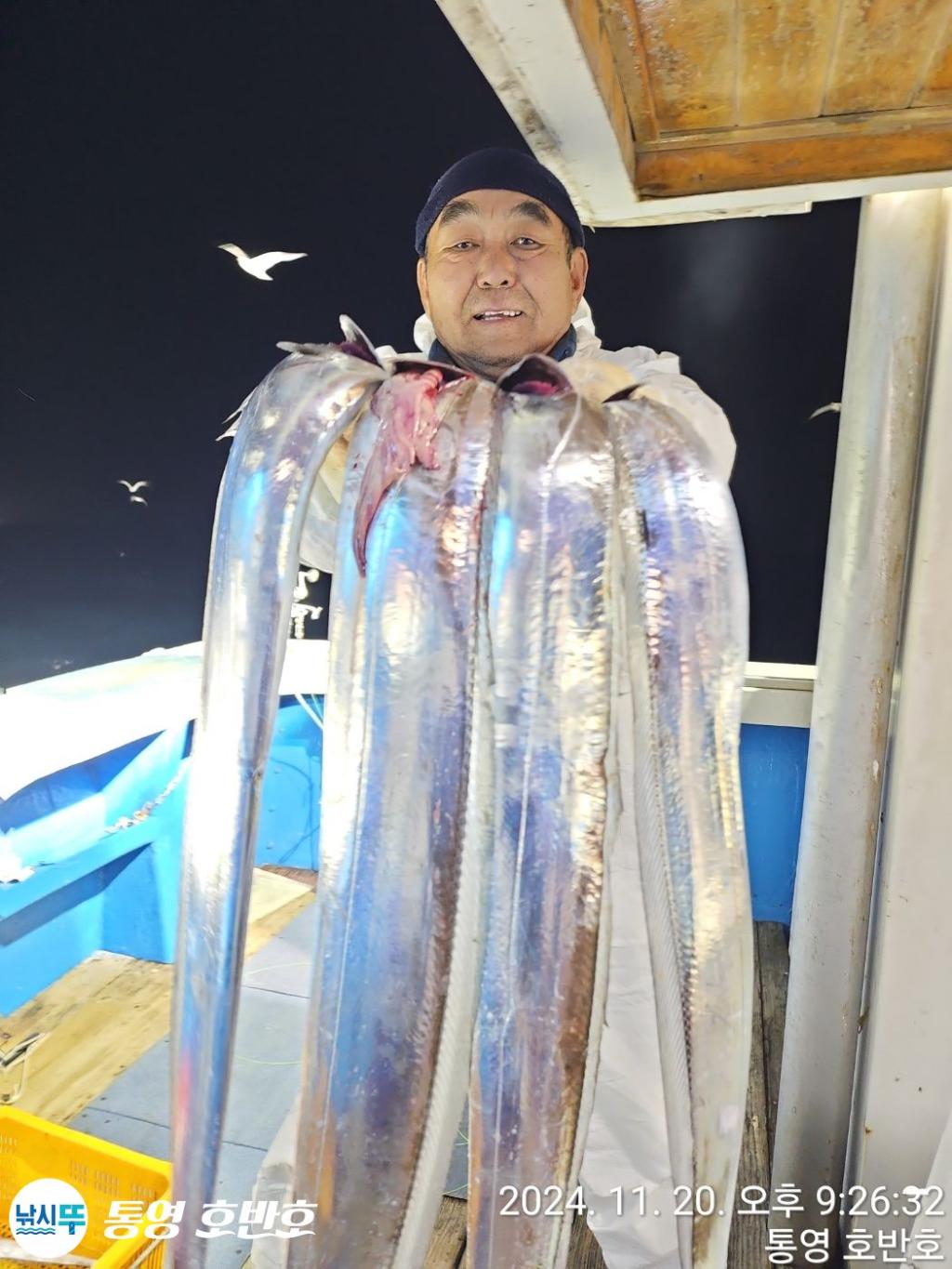 낚시뚜,갈치,통영 신전항,통영호반호,낚시뚜6