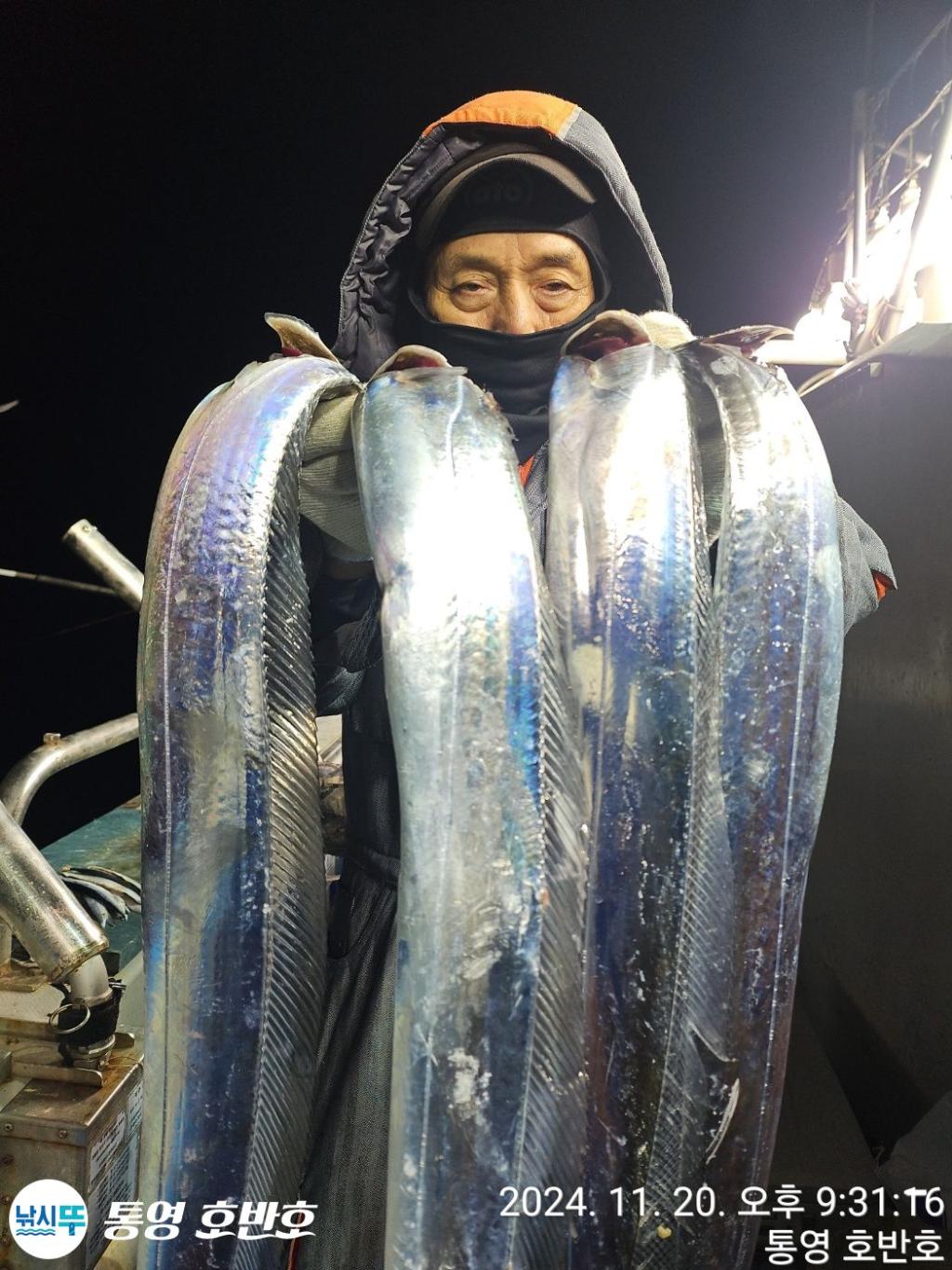 낚시뚜,갈치,통영 신전항,통영호반호,낚시뚜4