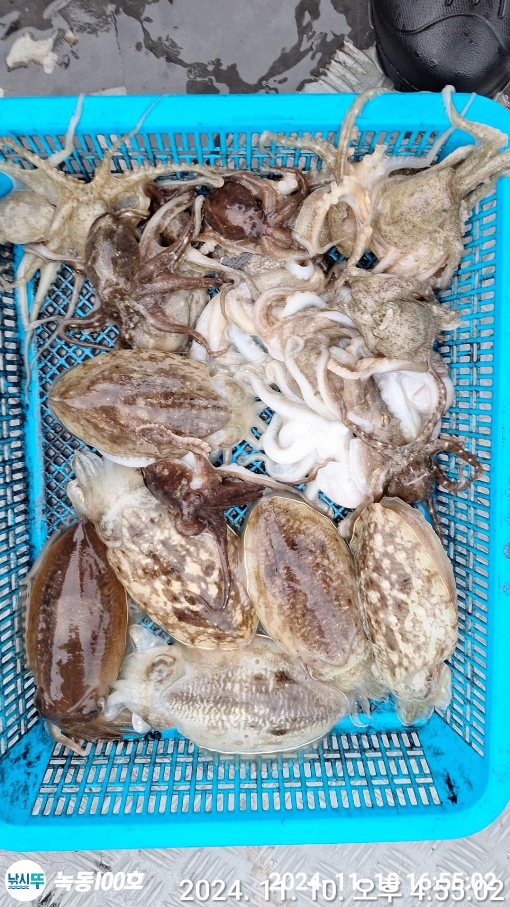 F2576821O0.jpg