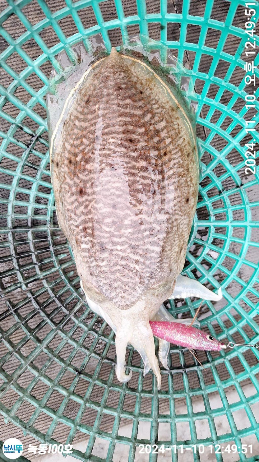 F2576825JY.jpg