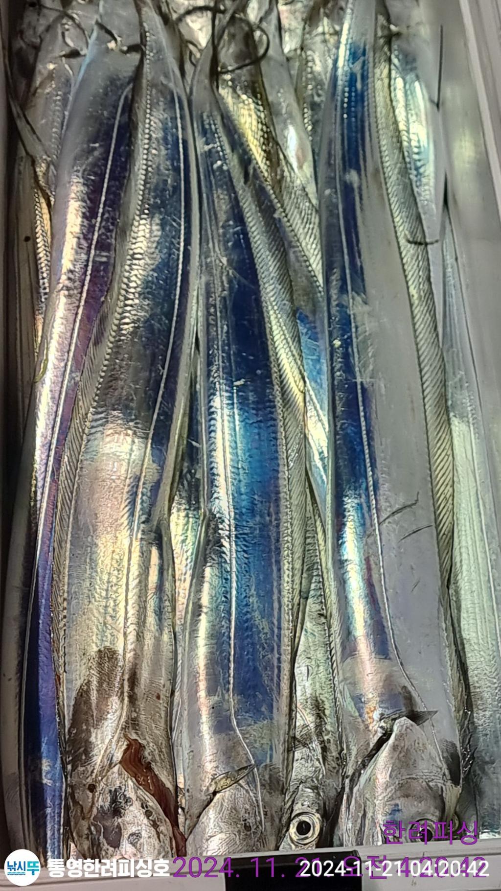 F2577027N7.jpg
