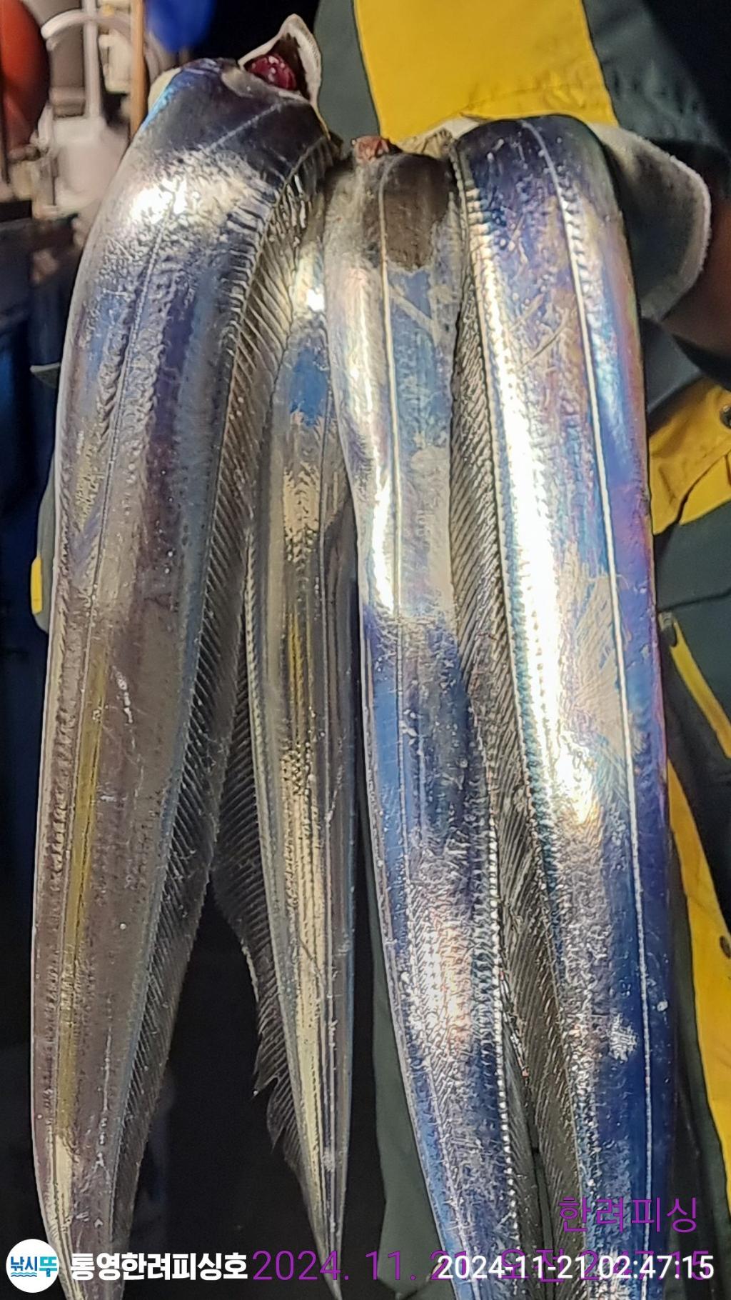 F2577031ZE.jpg