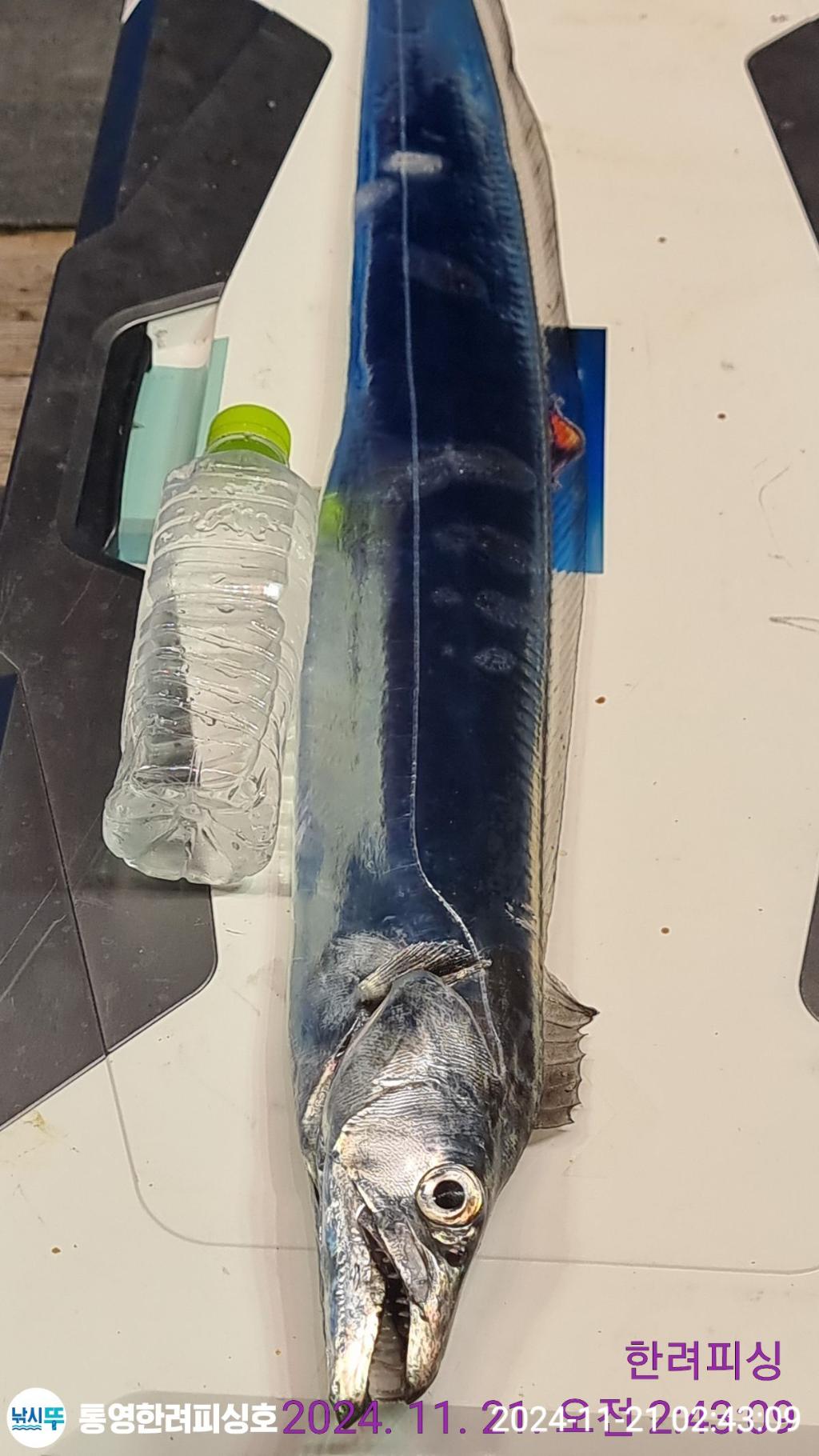 F2577039DA.jpg