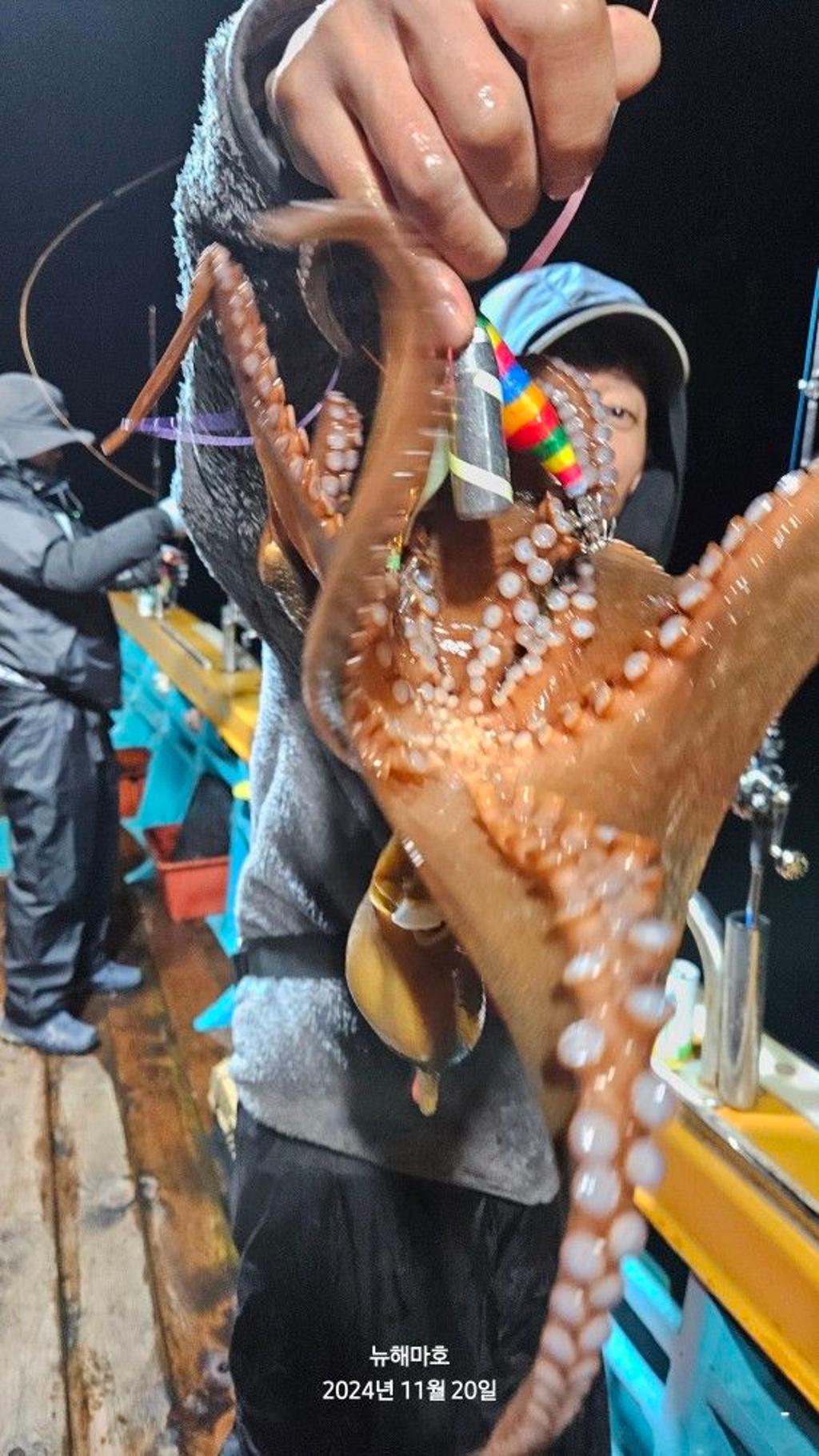 F2577075IG.jpg