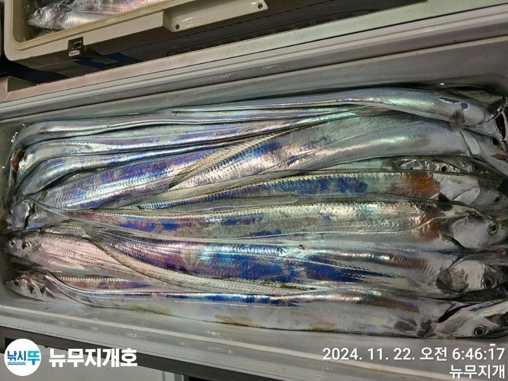 F2577667Z4.jpg