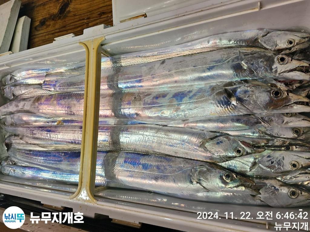 F2577669F2.jpg