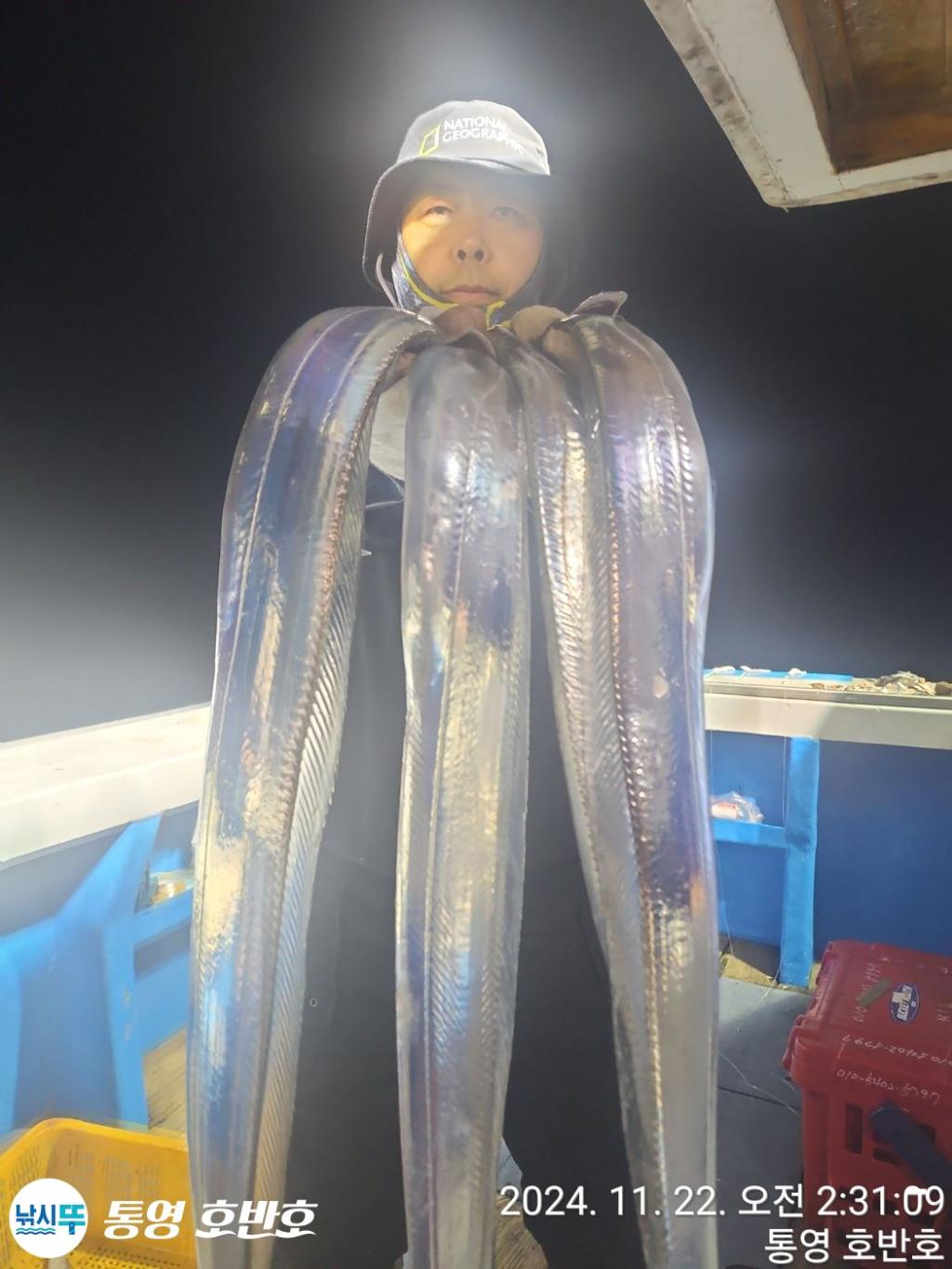 낚시뚜,갈치,통영 신전항,통영호반호,낚시뚜15