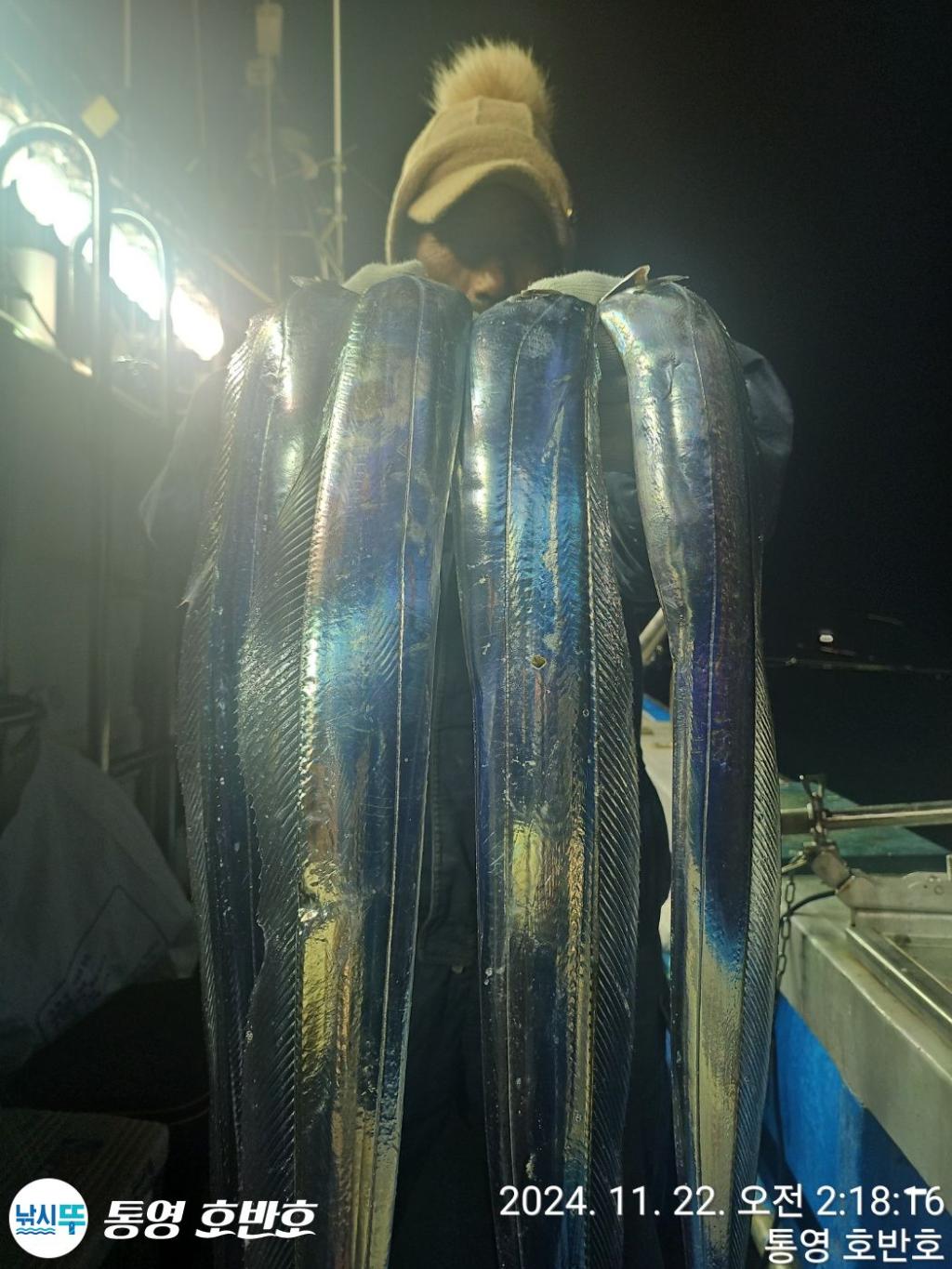 낚시뚜,갈치,통영 신전항,통영호반호,낚시뚜9