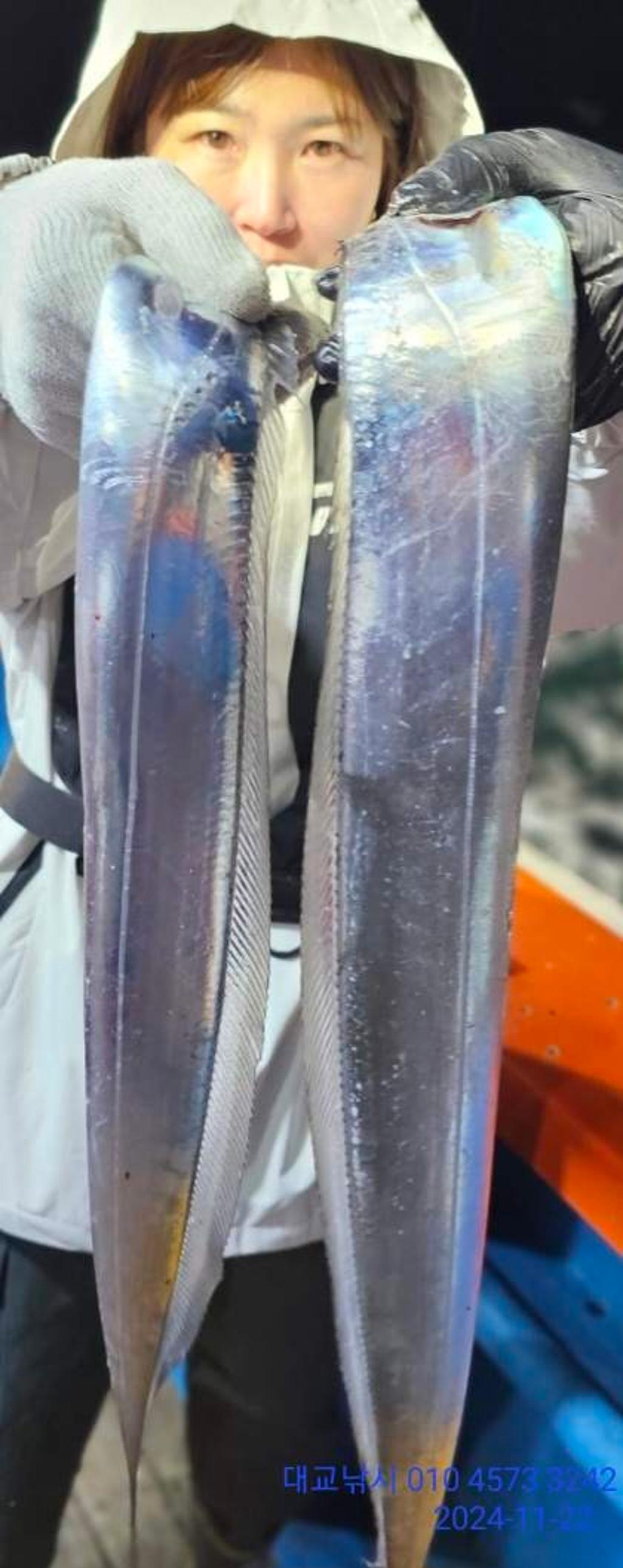 갈치, 삼포대교낚시, 낚시뚜