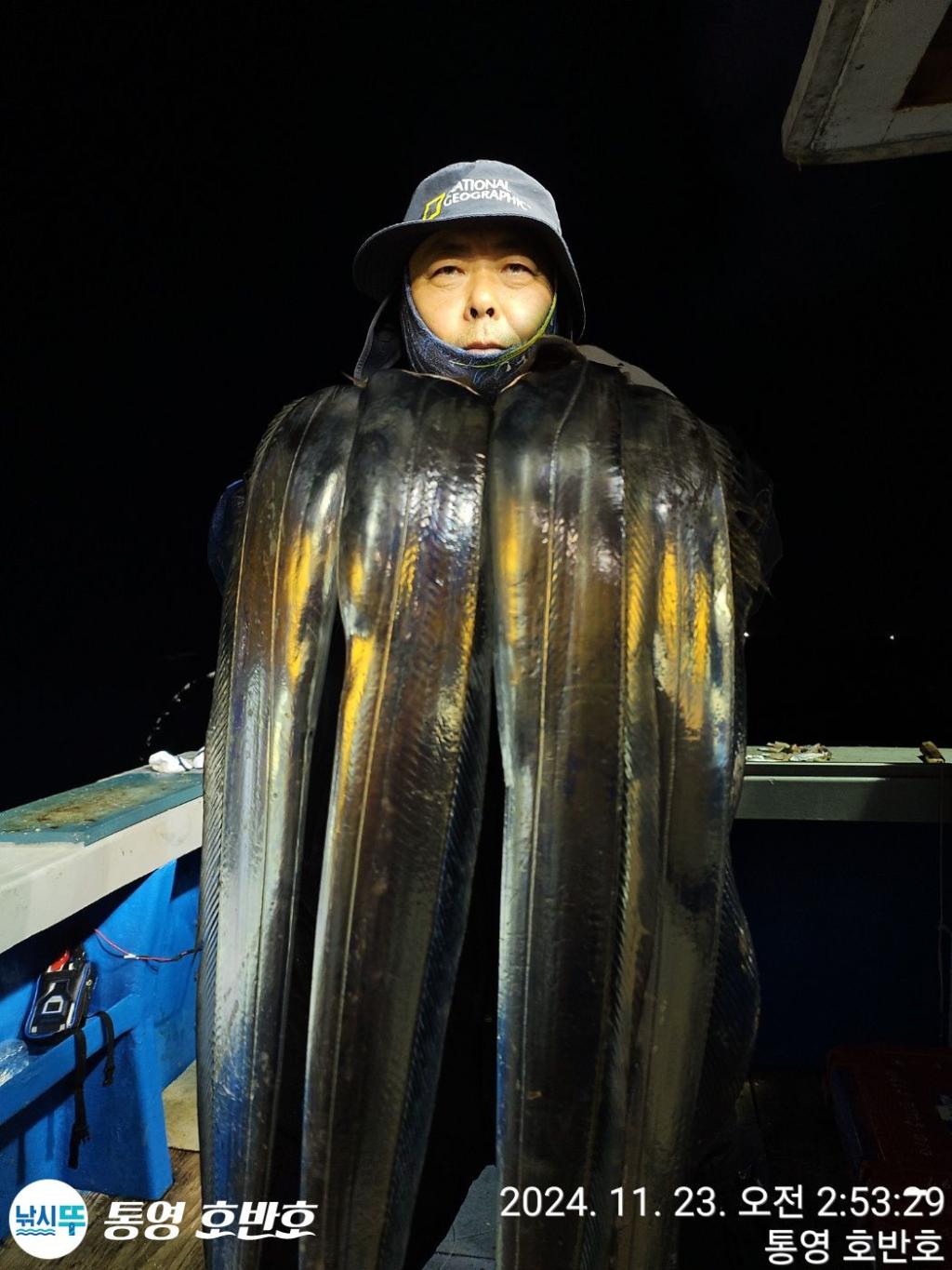 낚시뚜,갈치,통영 신전항,통영호반호,낚시뚜31