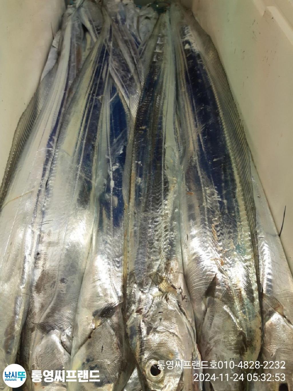 F25796270X.jpg