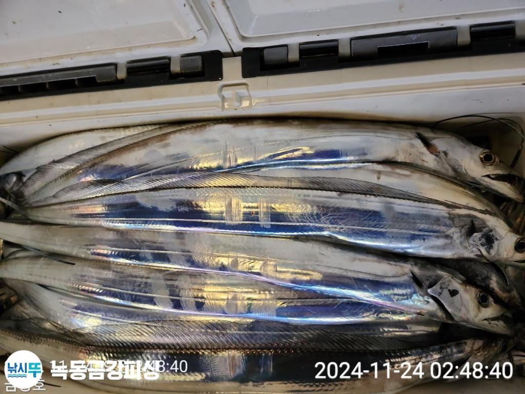 F2579765JH.jpg