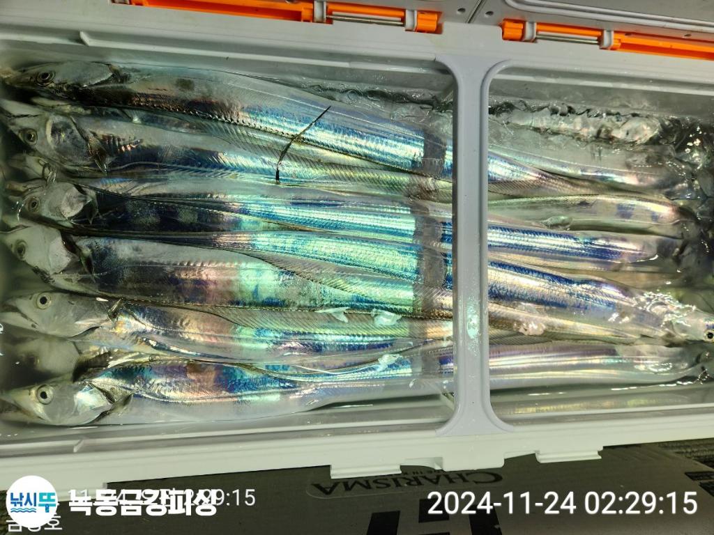 F2579767J8.jpg