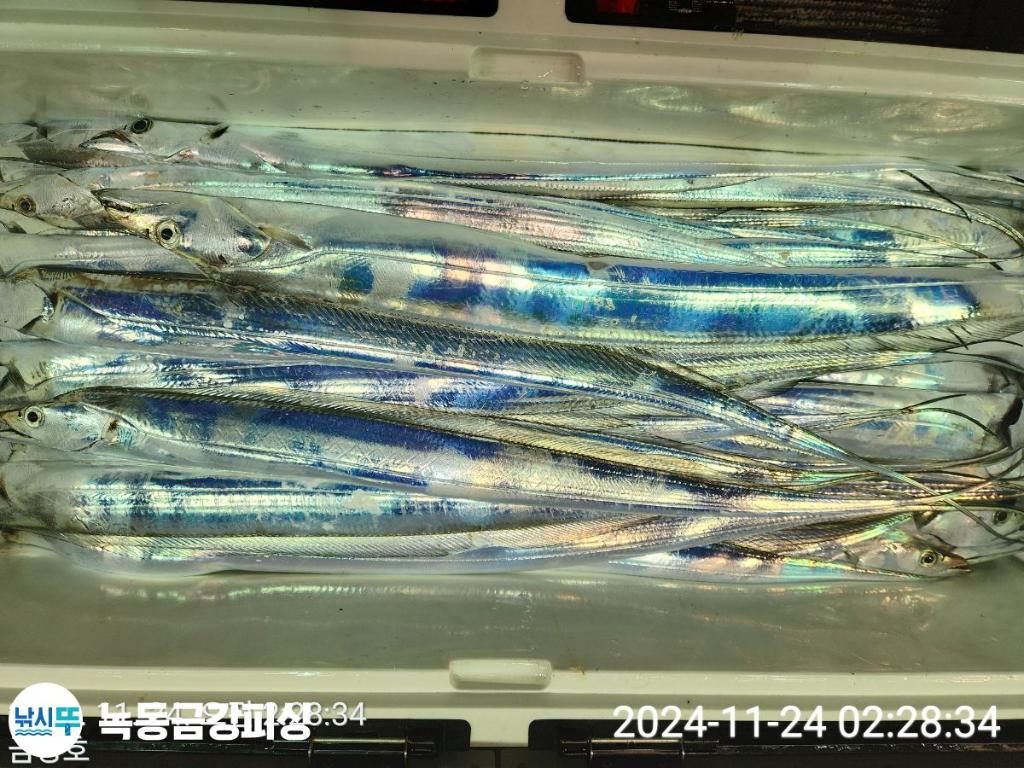 F2579769K3.jpg