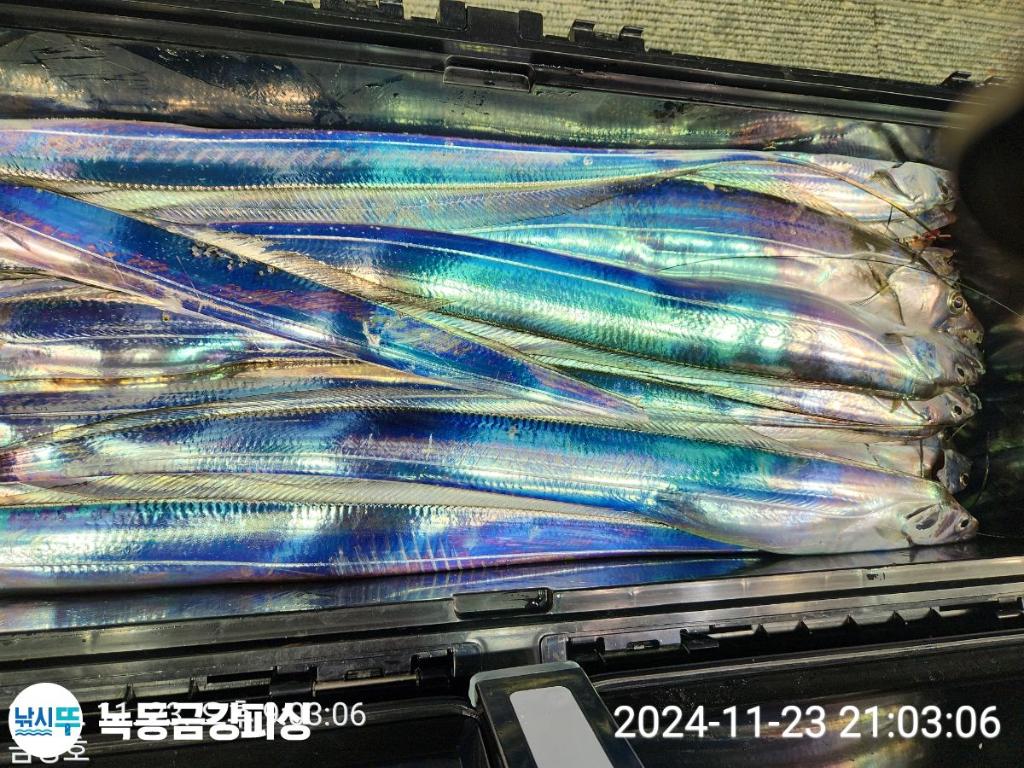 F25797737H.jpg