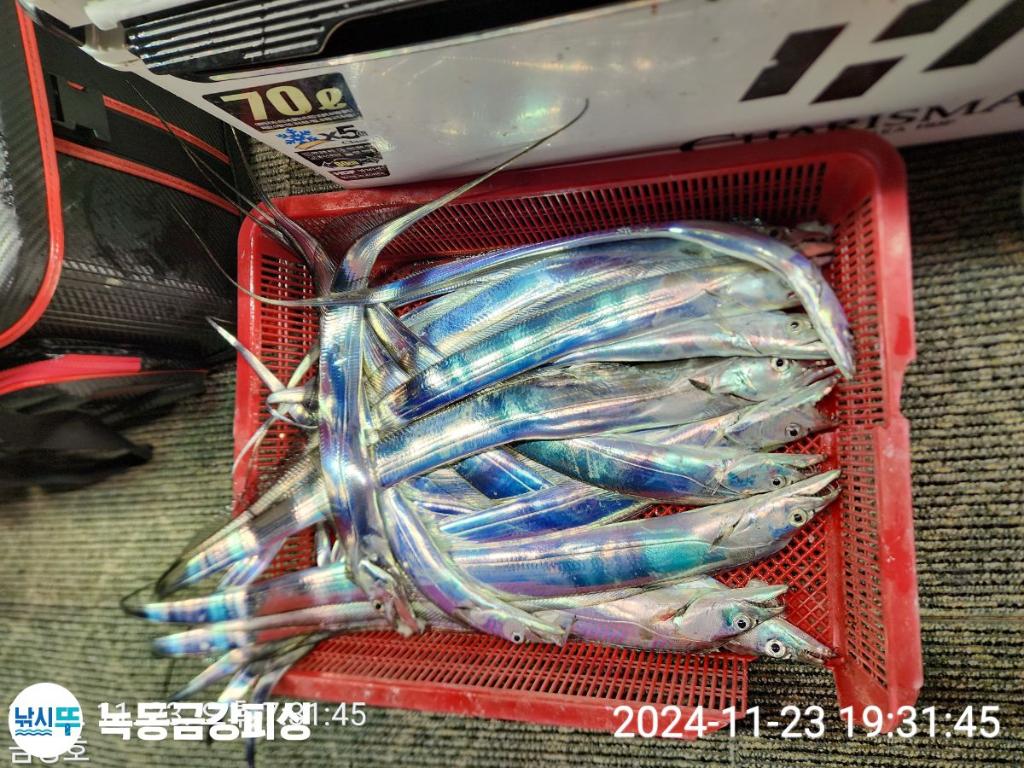 F2579777RP.jpg