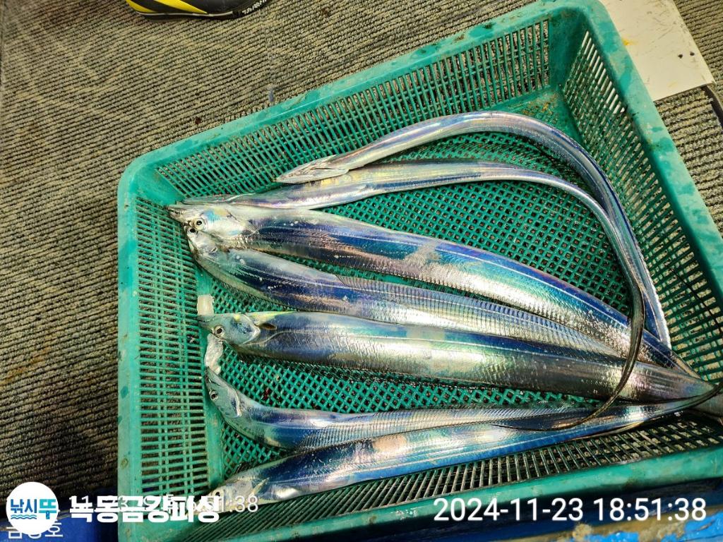 F2579779QN.jpg