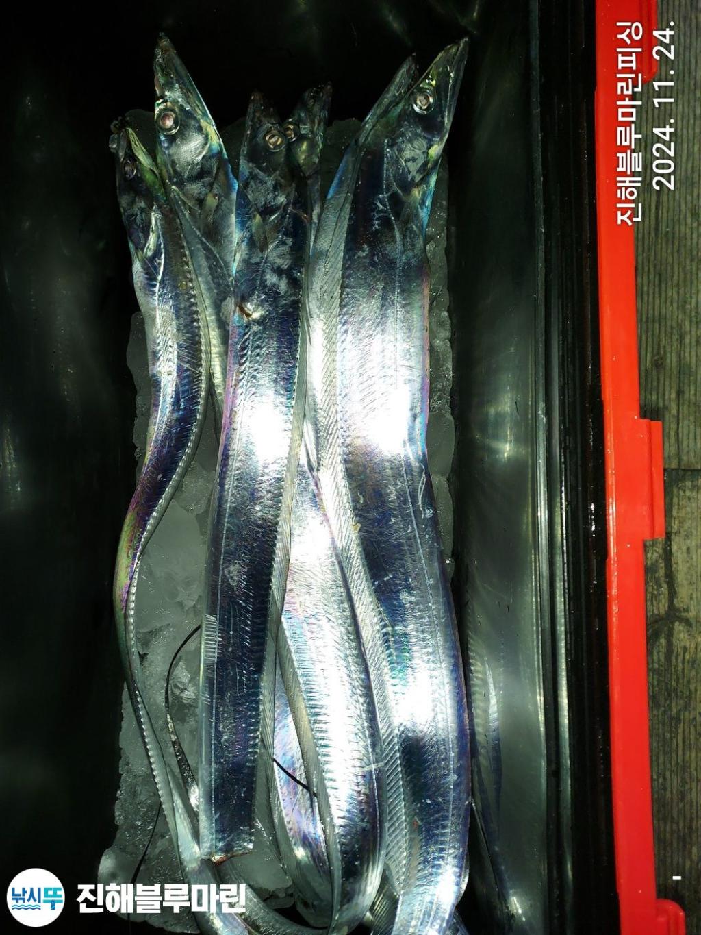 F2579808WN.jpg