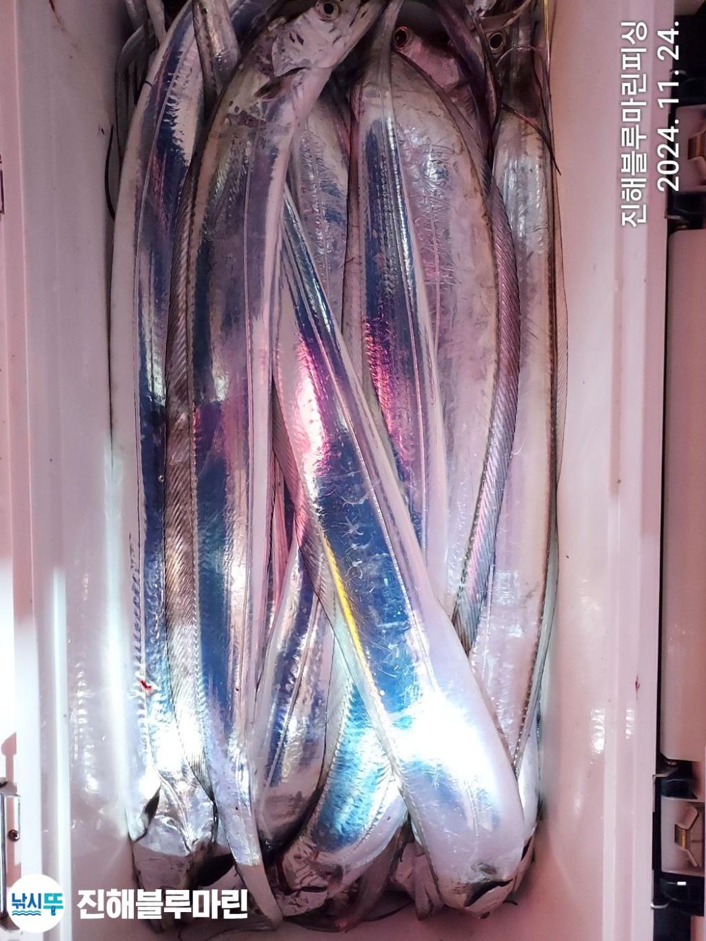 F25798108Z.jpg