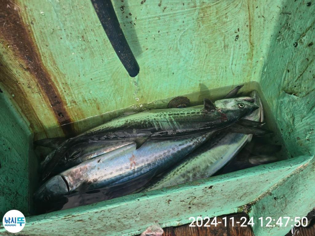 F25798534M.jpg