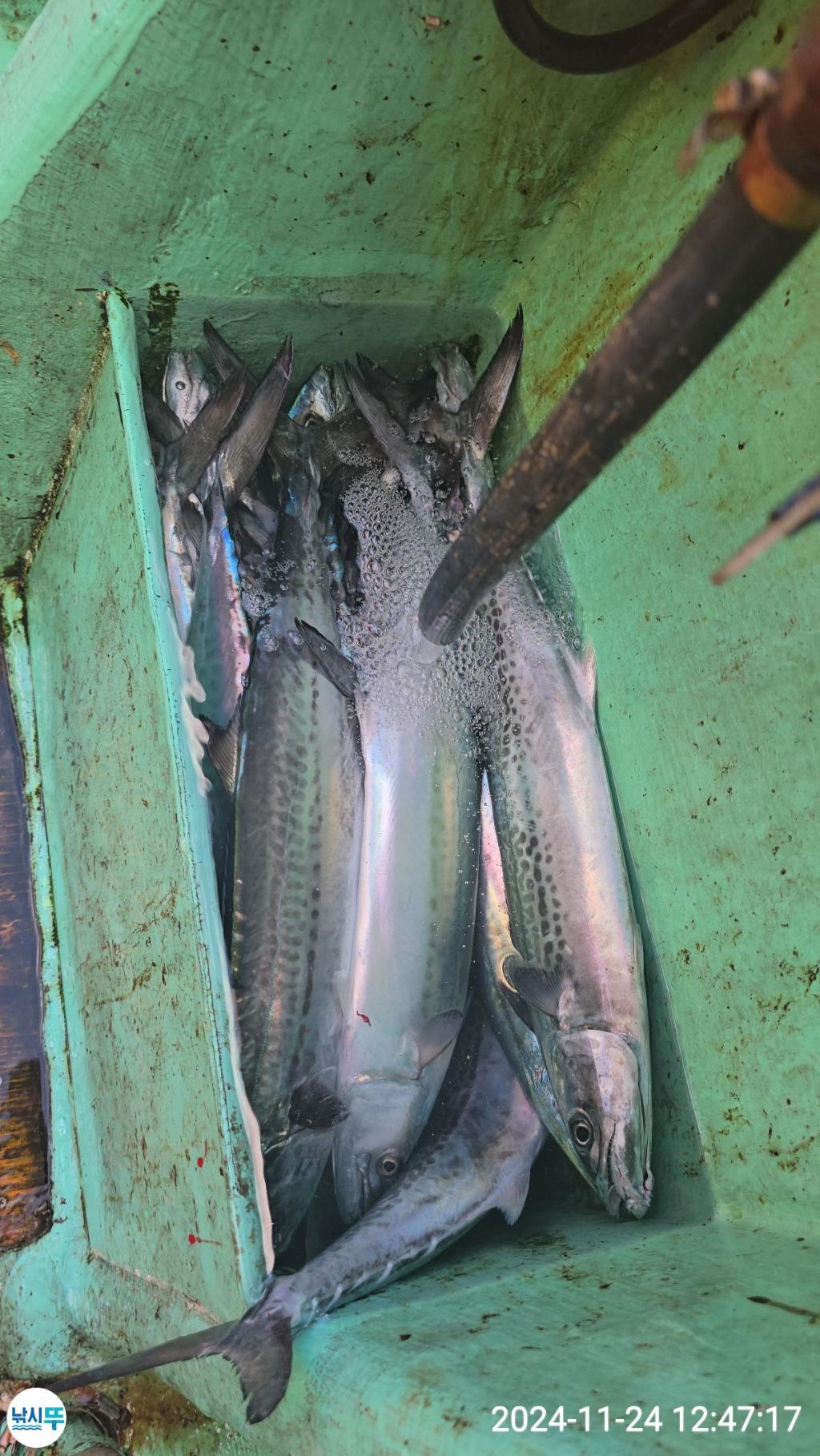 F2579857DE.jpg