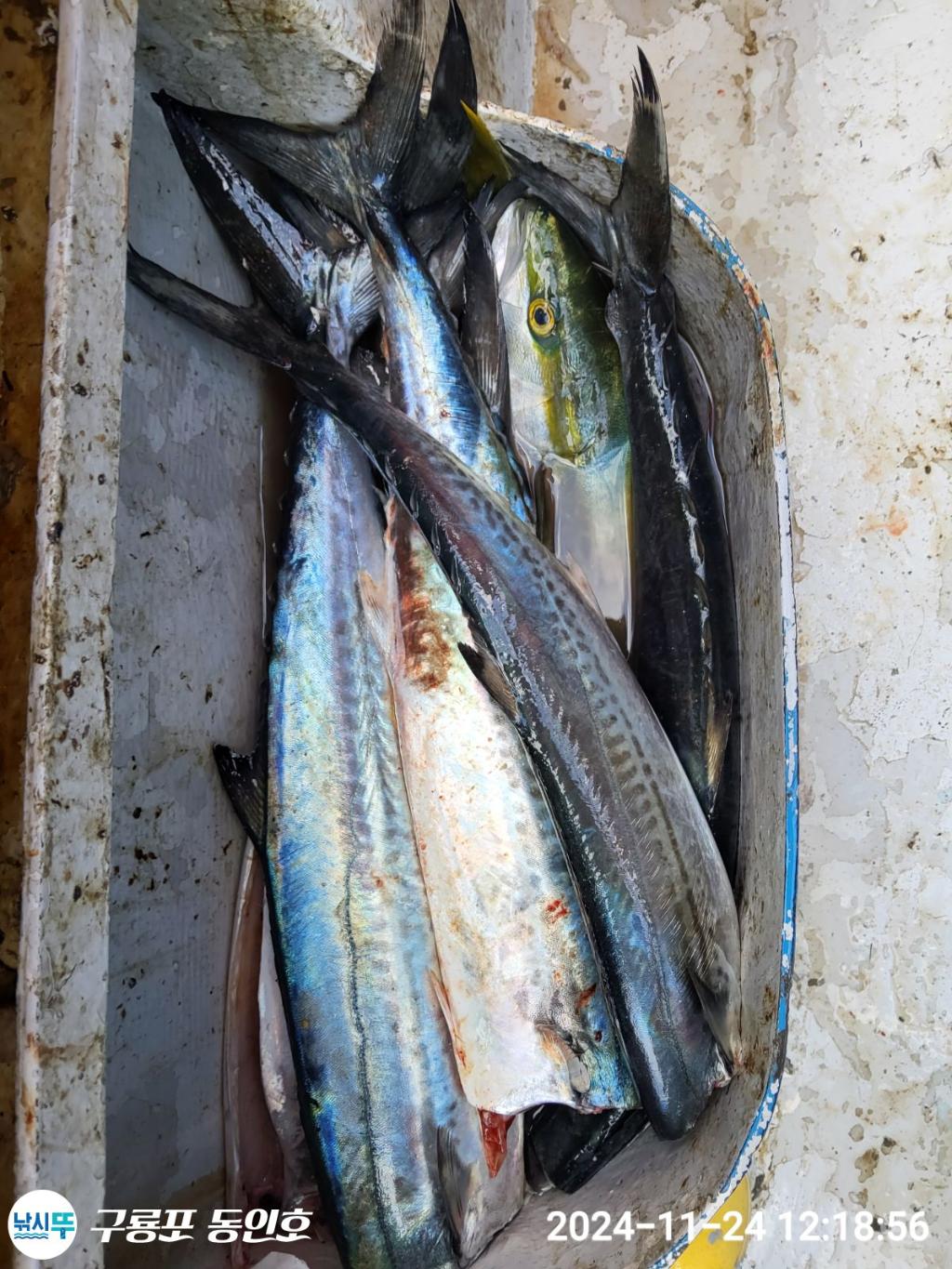 F2580060CH.jpg