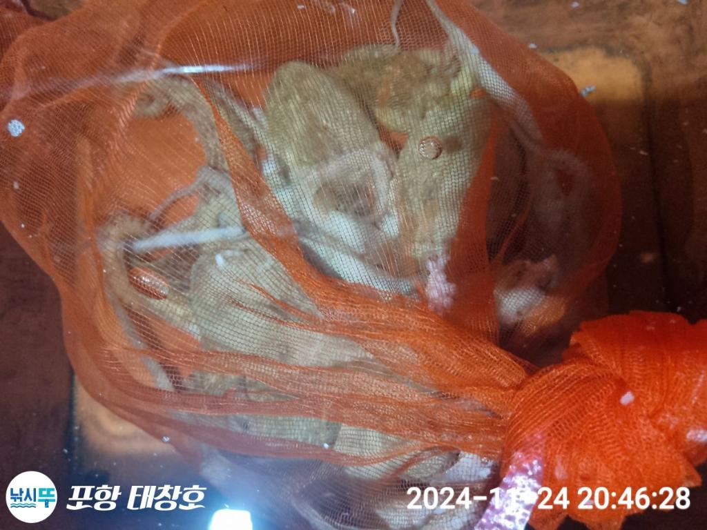 F25804913Y.jpg