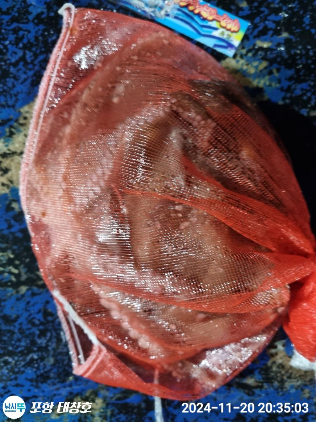 F258049971.jpg