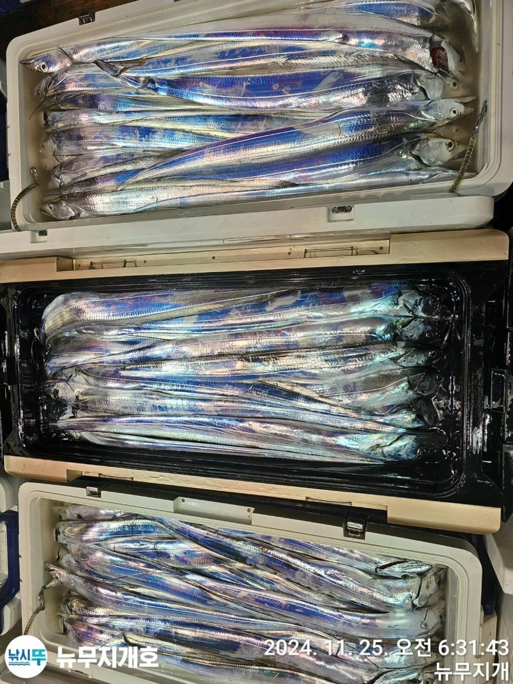 F2580866CF.jpg