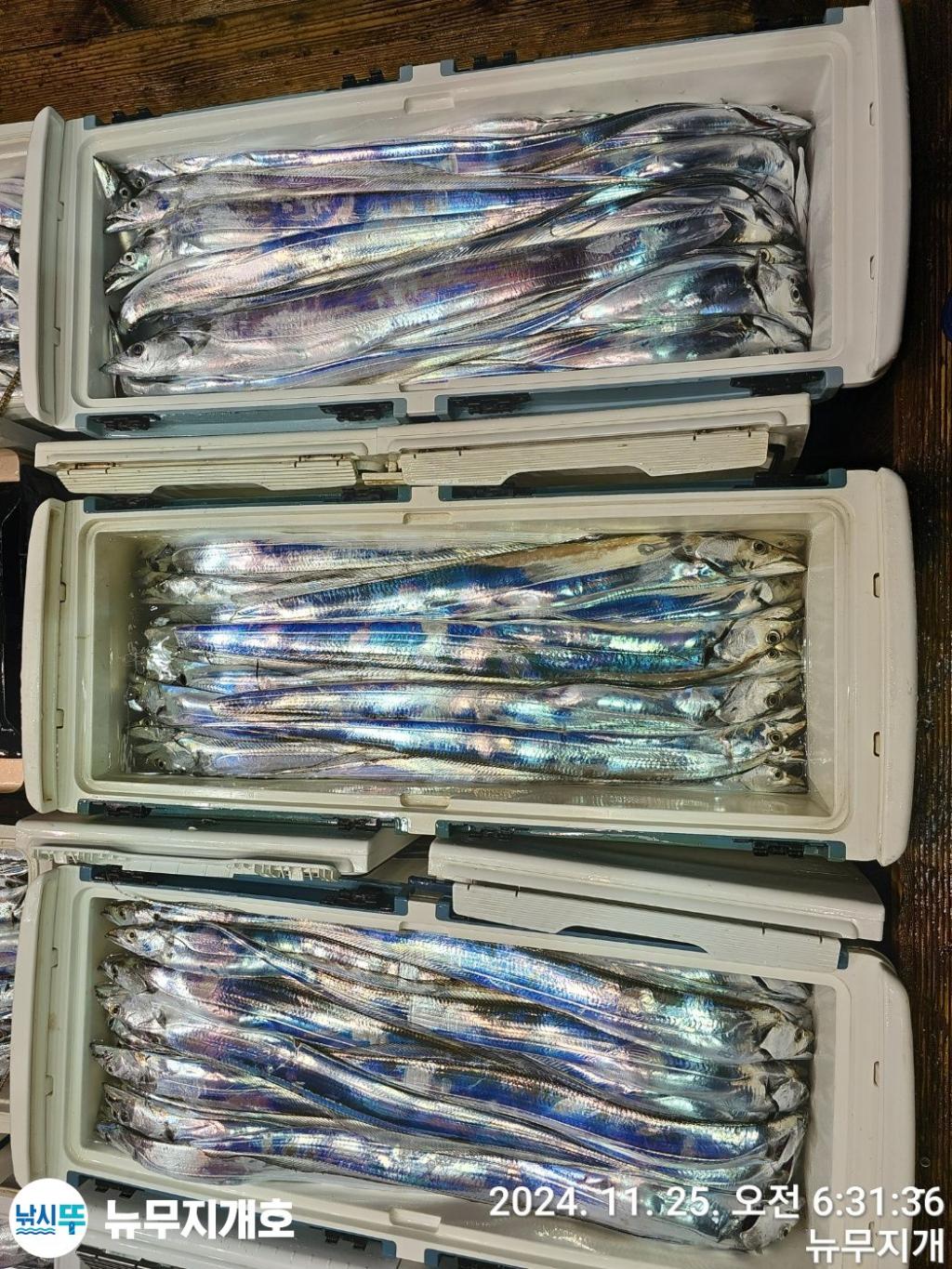 F2580867XC.jpg