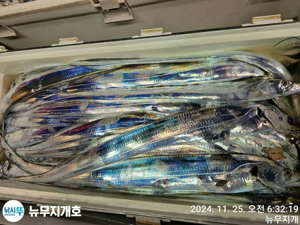 F2580871ES.jpg