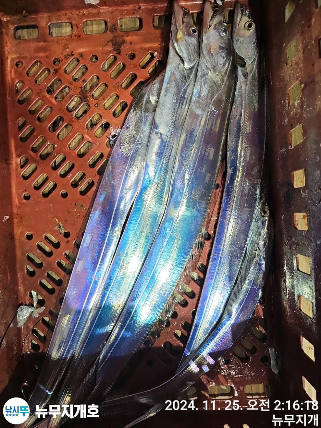 F2580890VX.jpg