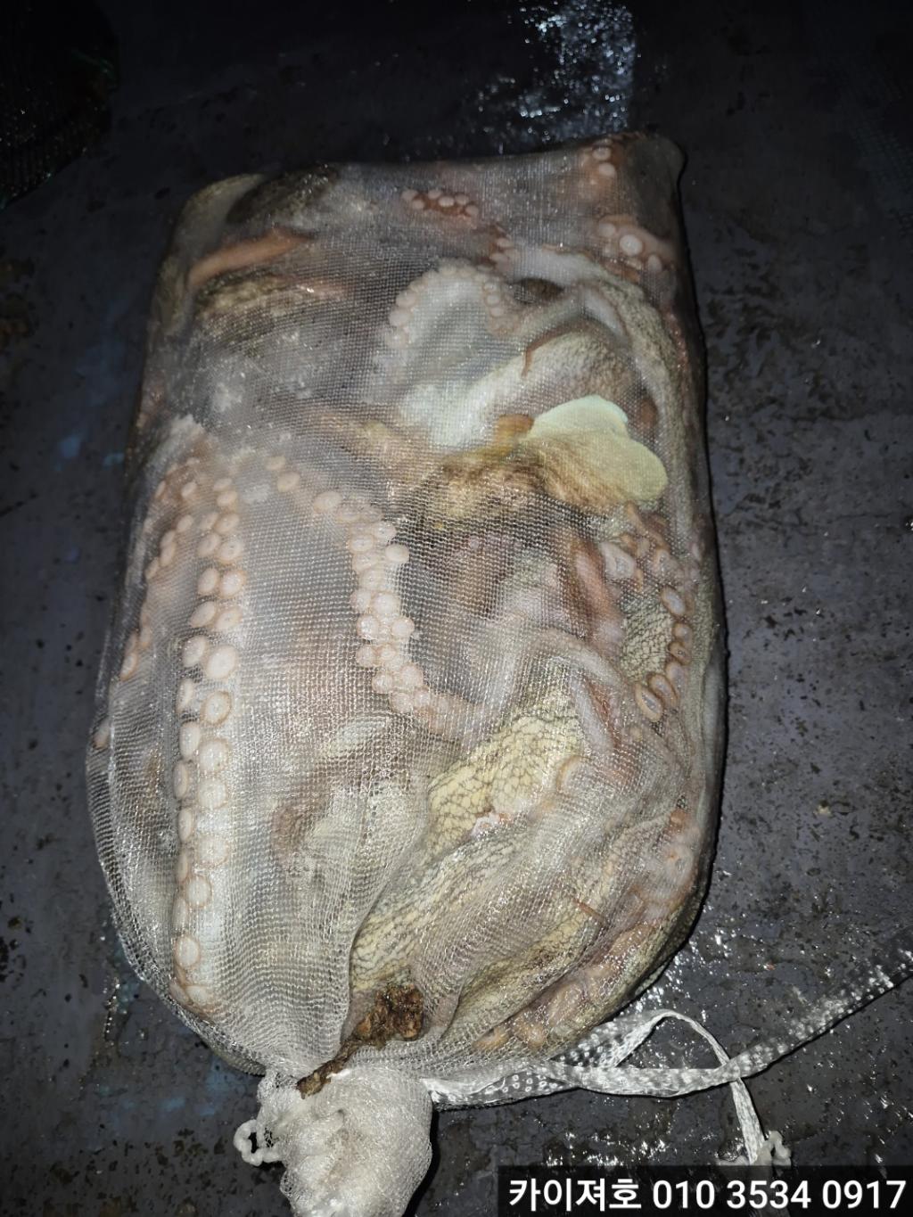 F2581038FL.jpg