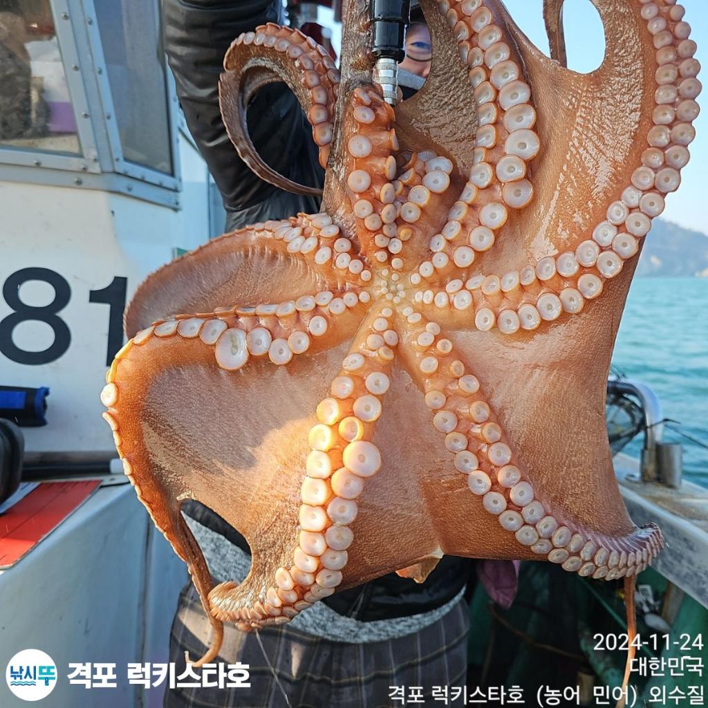 F2581252CZ.jpg