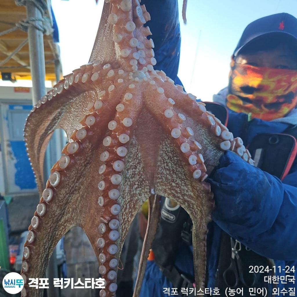 F2581266TY.jpg